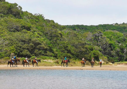 Horseback riding at Buccaneers at the Beach