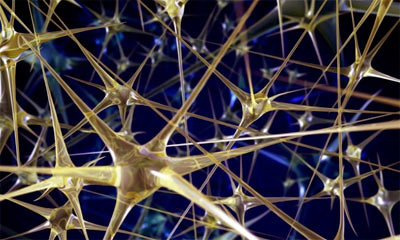 Popular paper about neural networks