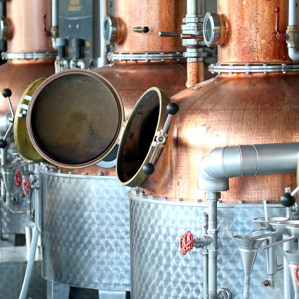 Miniaturbild: Wild Gin