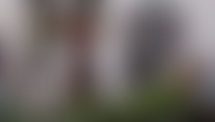 L’arancia, un frutto nutritivo