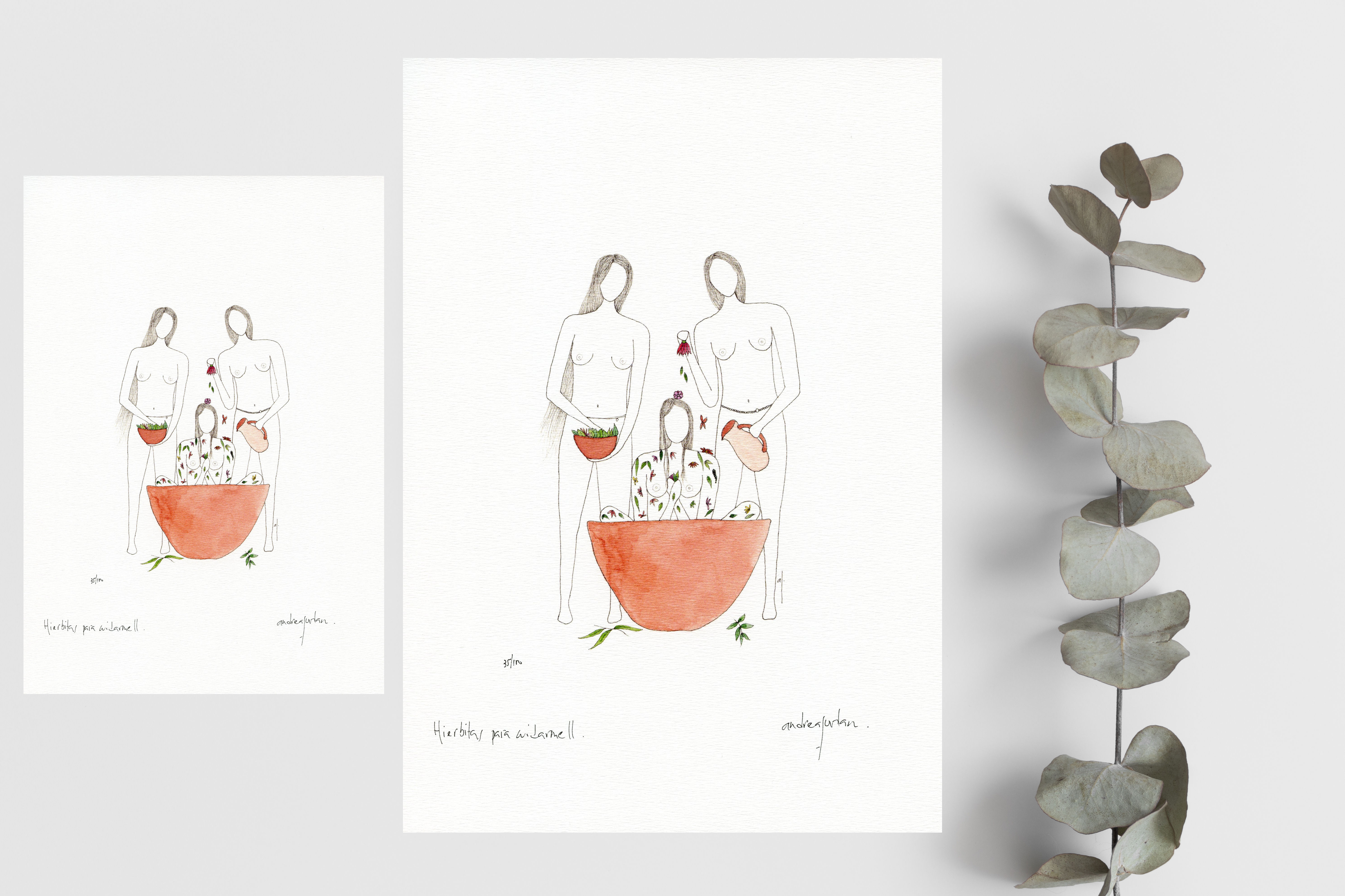 Hierbitas para cuidarme I