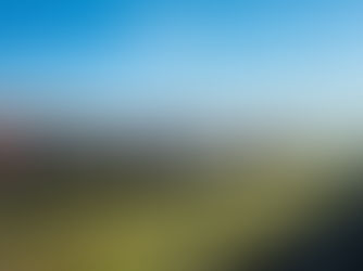 INDIA - How Critical Is Russian Oil?