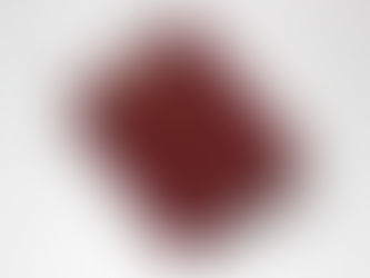 GERMANY - US Jews Reclaim German Citizenship