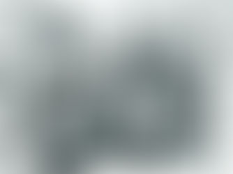 Perspective (The “I Am” Sayings)