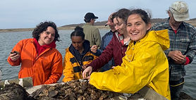 A Small Island Offers Big Lessons in Sustainability