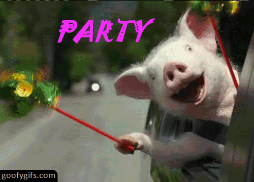 Funny-party-gif-with-a-pig.gif