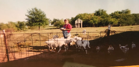 SHEEP19.jpeg