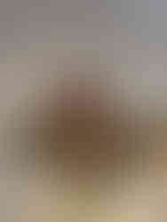 maricandles natale 13