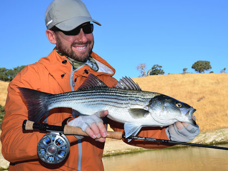 3-TAND VIKN V-50 Fly Reel Review