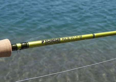 Sage Pulse 5 Weight Fly Rod Review