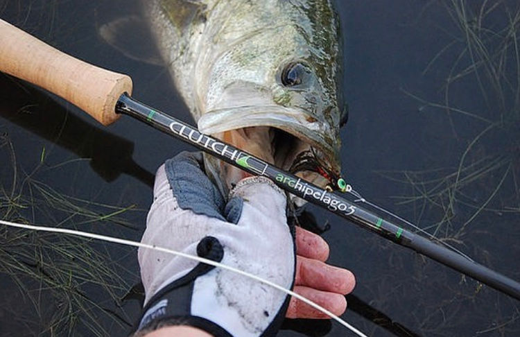 clutch fly rods