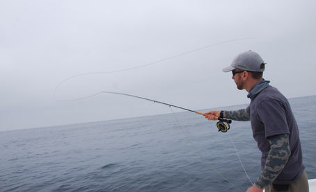 Uplining Your Fly Rod!