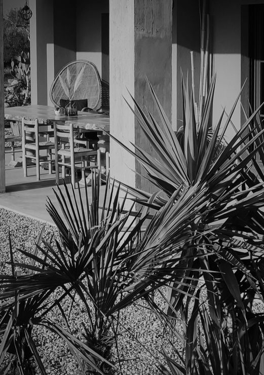 About Bed & Breakfast IL PAJO. Outdoor terrace with large wooden breakfast table and peacock chair. In the foreground small palms in the garden and a mainstay of raw concrete.