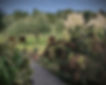 Bed & Breakfast Il Pajo