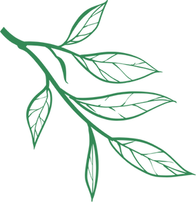leaf.png