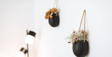 Trockenblumen an einer weißen Wand