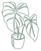IMG_0284_green.png