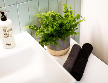 Waschbecken mit Handtüchern und Farn