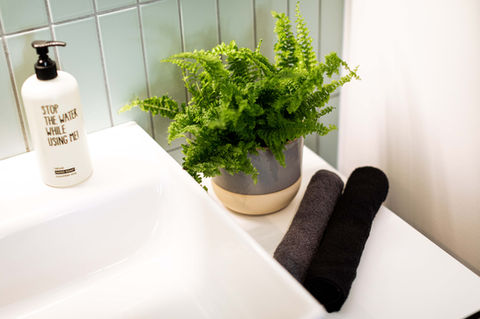 Waschbecken mit Handtüchern und Farn
