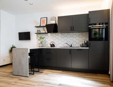 Moderner Wohnbereich mit voll ausgestatteter Küchenzeile in den Urban Jungle Apartments