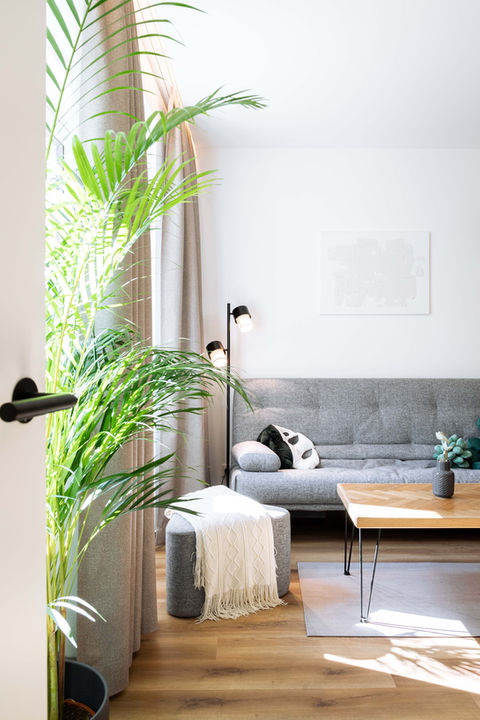 Wohnzimmer mit Pflanzen, Sofa und Couchtisch in den Urban Jungle Apartments