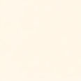 plain very light beige colour with very light texture and no gradient.jpg