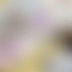 An Overview of the Impact Financial Crime has had on the Worldwide Economy