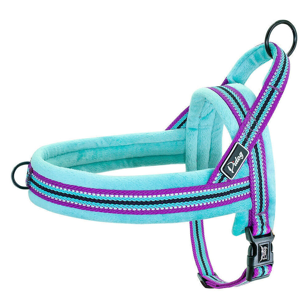 Thumbnail: Front Clip Adjustable High Viz High Quality Soft Plush Padded Vest Harness