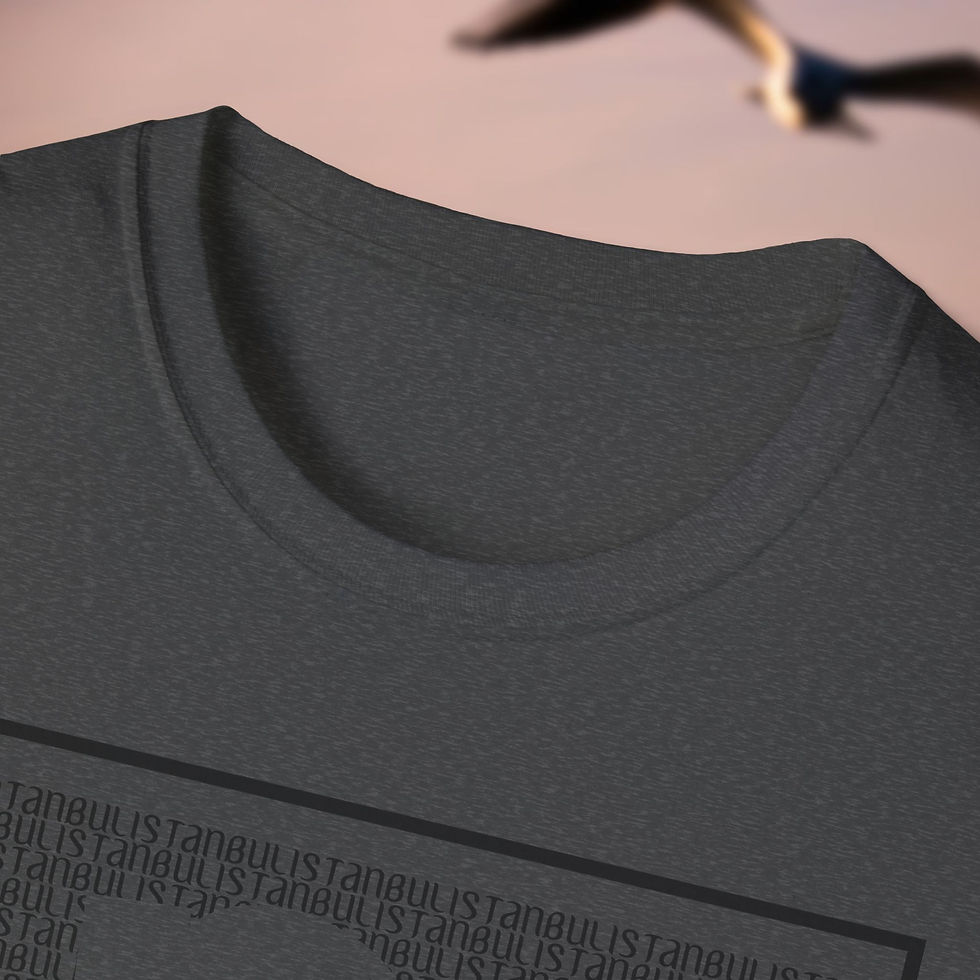 Thumbnail: Must Seen Istanbul T-Shirt  - V1 TS - Close up