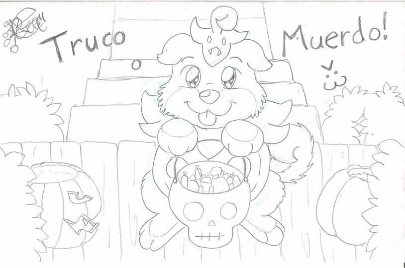 11911066_10207704692874792_1514699303_n