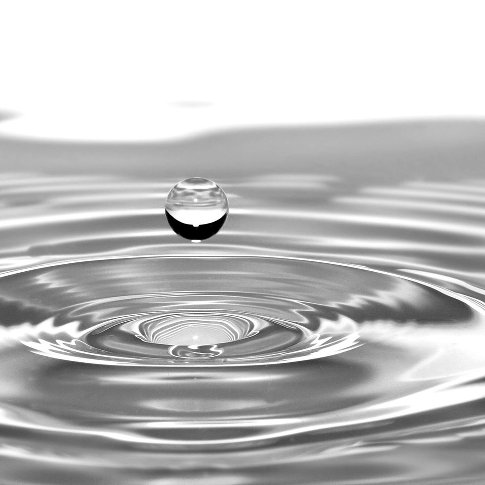 El agua no es un tema nuevo para el arte, pero vuelve con otra densidad. En un mundo donde empieza a medirse, cotizarse y restringirse, su presencia simbólica crece en el campo cultural.