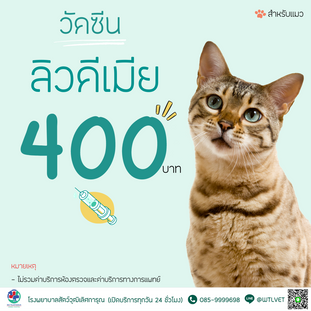 วัคซีนลิวคีเมีย