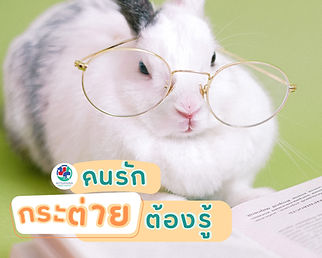 เลี้ยงกระต่าย (2)_edited.jpg
