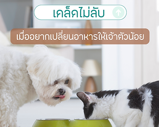 บทความทั่วไป (1).png
