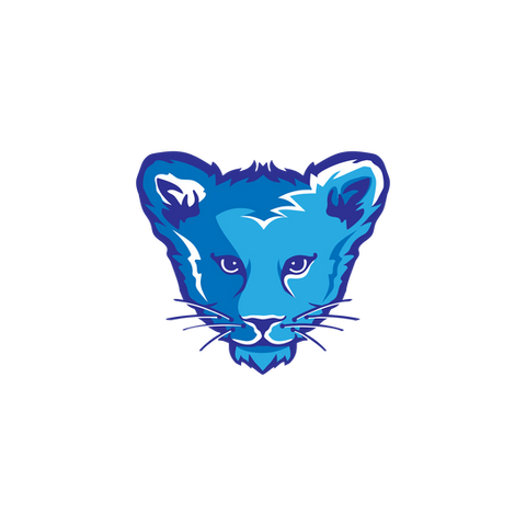 CES Lion Club Logo
