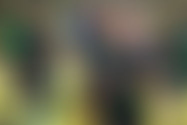 Con Martin Caballero, Nueva Chicago quiere sumar a domicilio