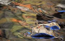 Image 4-15-26 at 7.22 PM (1)