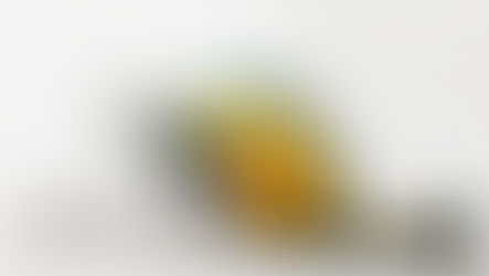 Military to Motorsports: Surprising Industries Using LC Dynamic Films in Eyewear