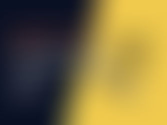understanding Wix