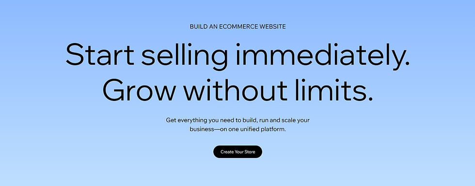 wix ecommerce