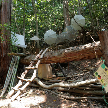 吉村寧花_01 - 寧.jpg