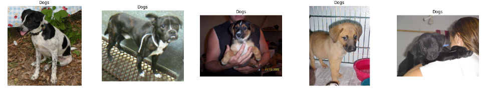 Sample Dog Images