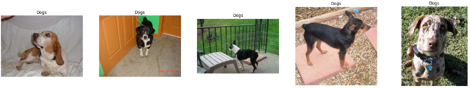 Sample Dog Images