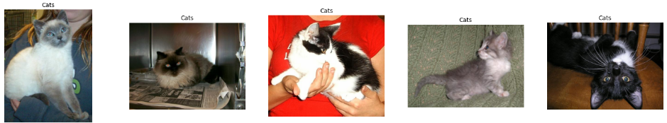 Sample Cat Images