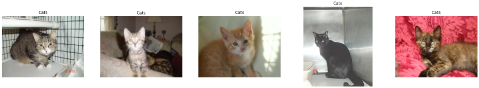 Sample Cat Images