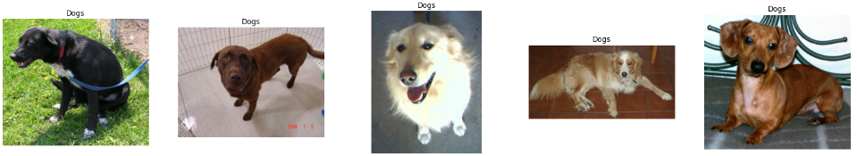 Sample Dog Images
