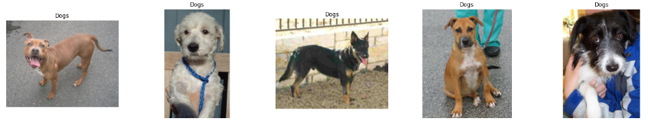 Sample Dog Images