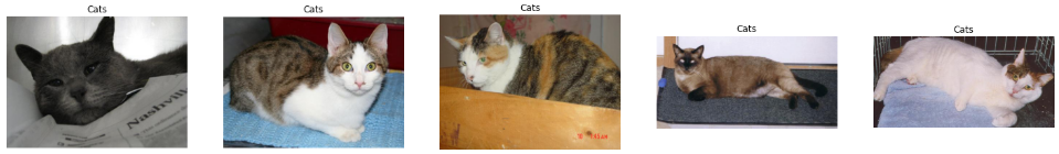 Sample Cat Images