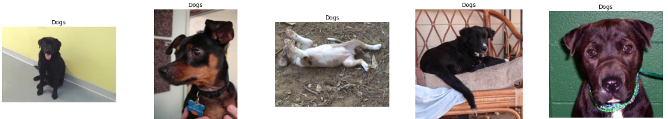 Sample Dog Images
