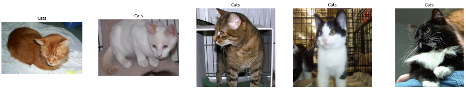 Sample Cat Images